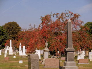 funeral-etiquette funeral-etiquette