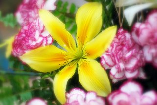 flower bouquet